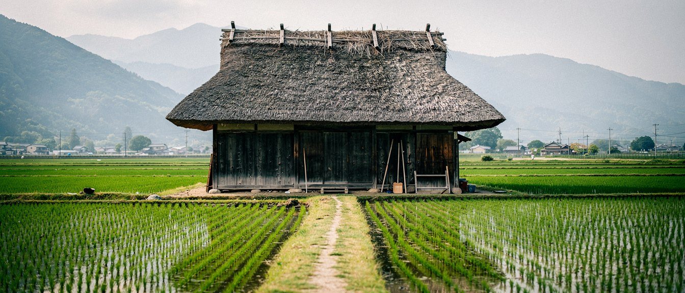 Mononoke Village scene